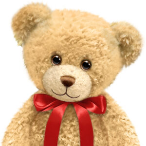 Bears