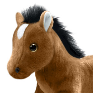 Horses