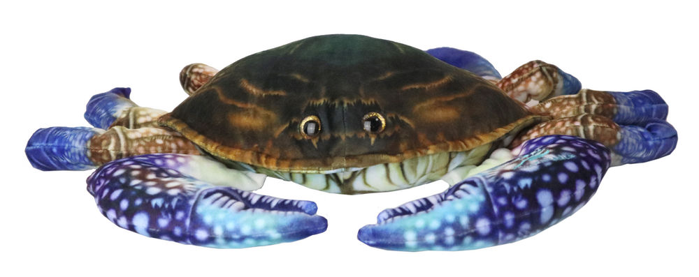 Blue Crab11 in.wide