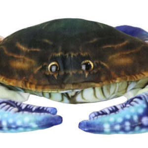 Blue Crab<br>21 in.wide