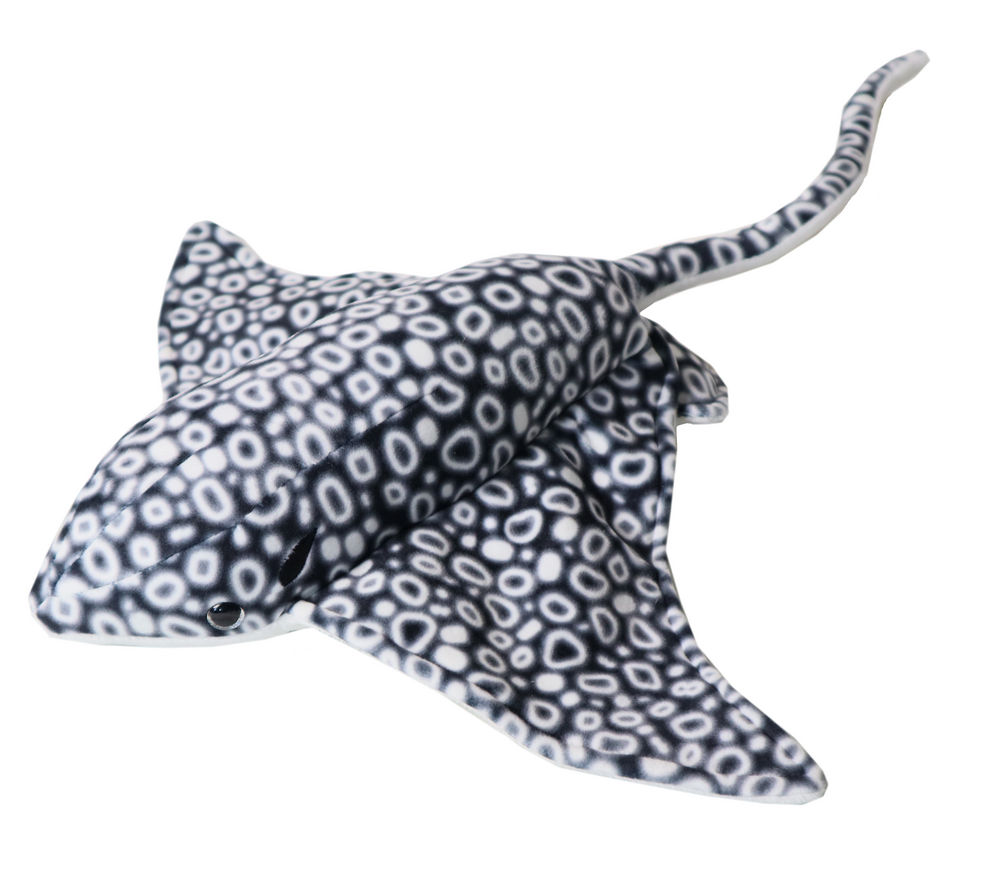 Spotted Eagle Ray26 in. long